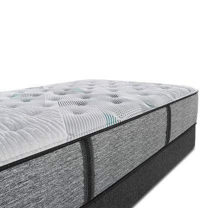 Harmony Lux Carbon Series Medium