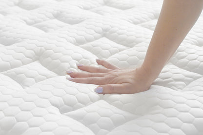 Aurora Sky Pillow Top